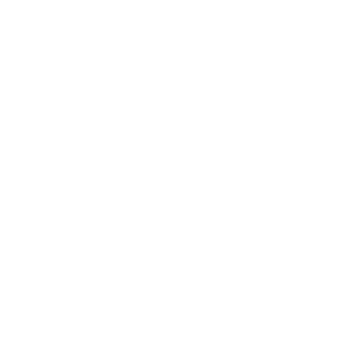 S5000 Badge