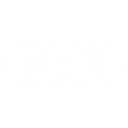 GT3 Audi R8 V10 Evo2 Badge
