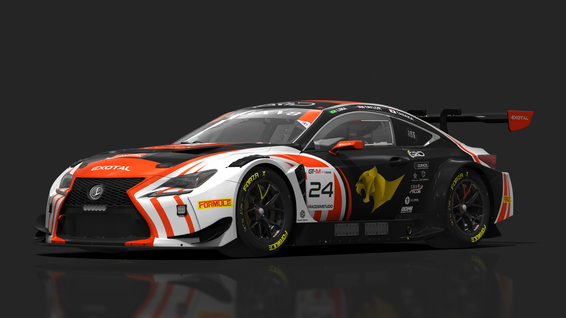 GT3 Lexus RC F GT3, skin 04_carfex_24