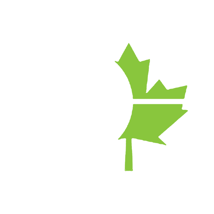Tatuus Toyota FT-60 Badge