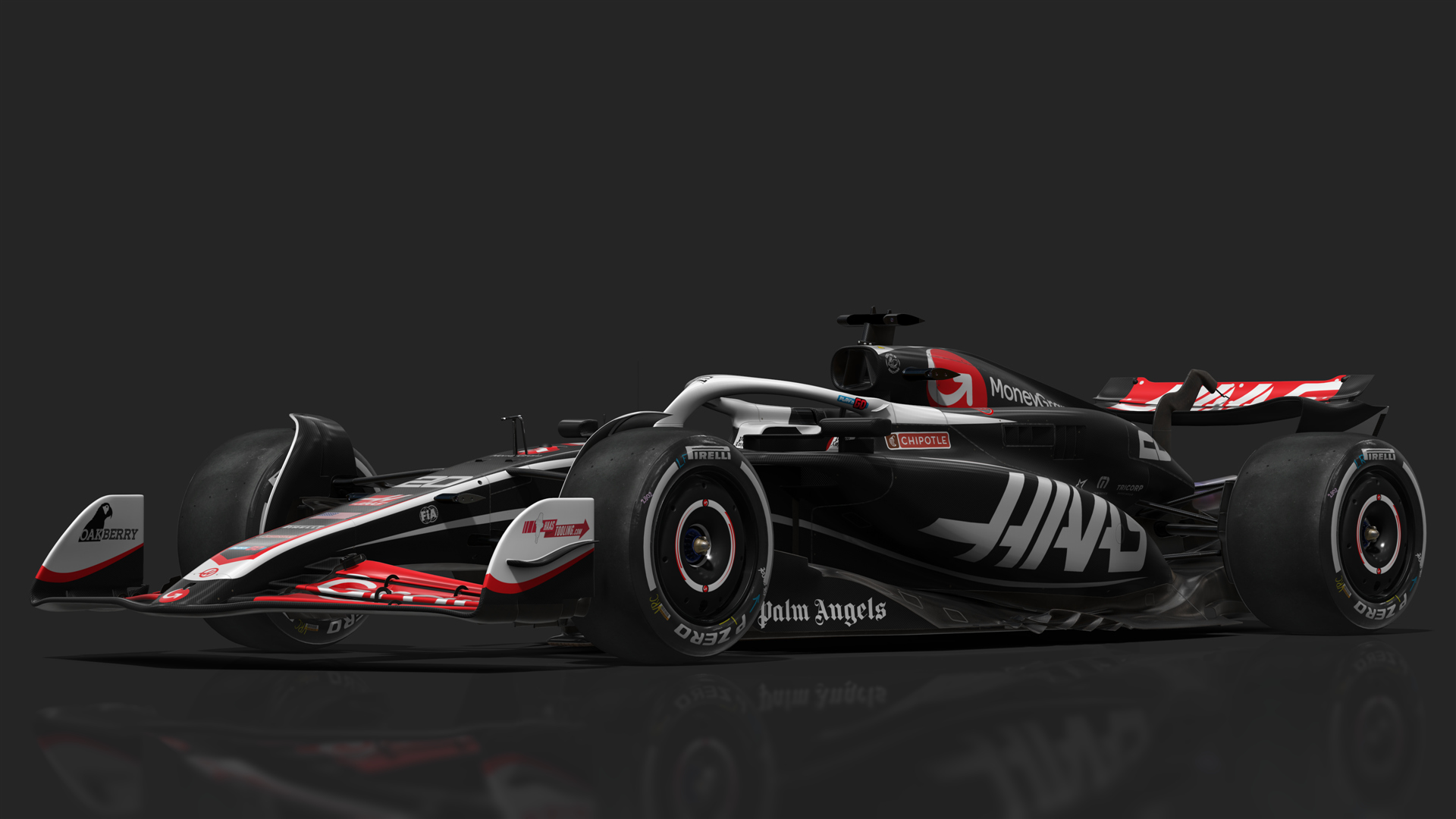VRC Formula 1 2024 (CSP), skin VF24_20_Magnussen