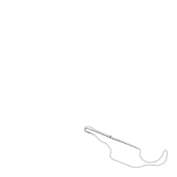 b1