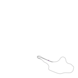 o1
