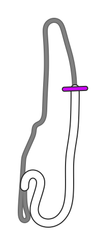 formula_drift_layout