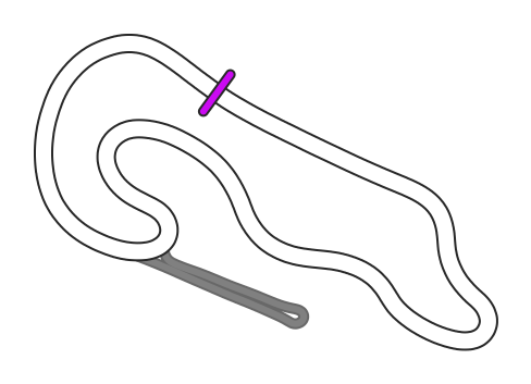 RX