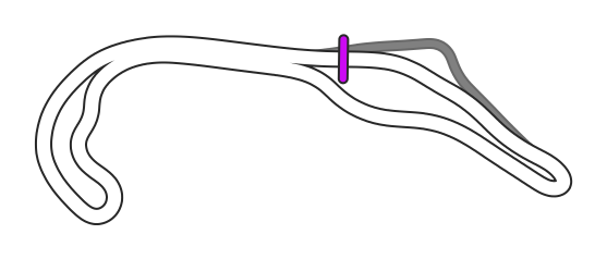layout_long
